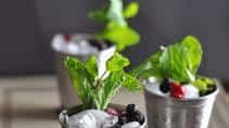 Berry Mint Julep: A Twist on a Classic Cocktail