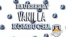 Blueberry Vanilla Kombucha Recipe