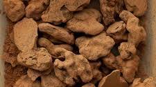 Chocolate Walnuts Thumbnail