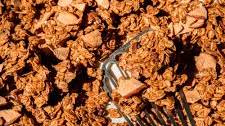 Clumpy Apple Cinnamon Granola with Pecans