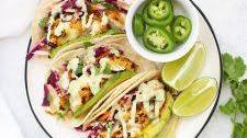 Fish Tacos with Honey Lime Cilantro Slaw