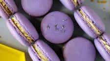 Lavender and Honey Macarons