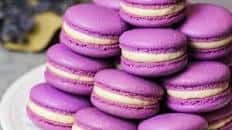 Lavender Macarons