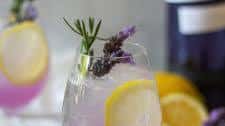 Lemon Lavender Summer Gin Spritz