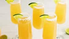 Paloma Mimosas