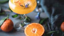 Tangerine Whiskey Sour