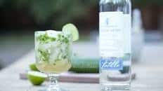 The Spa-garita: Cucumber Cilantro Healthy Margarita