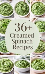 36+ Quick Creamed Spinach Recipes That Will Impress Your Family and Friends! creamed-spinach-ccccc-40228