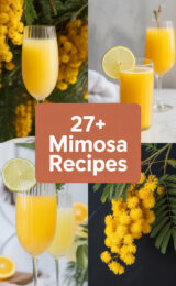 mimosa-ccccc-12725