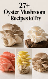 27+ Homemade Oyster Mushroom Recipes That Will Delight Your Taste Buds and Elevate Your Cooking! oyster-mushroom-ccccc-40054