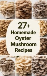 oyster-mushroom-ccccc-52584