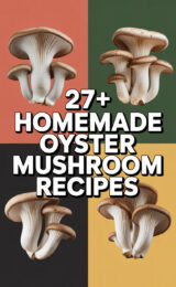 oyster-mushroom-ccccc-83748