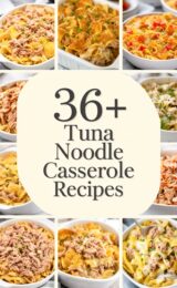 36+ Amazing Tuna Noodle Casserole Recipes You’ll Want to Make Tonight! tuna-noodle-casserole-ccccc-88263