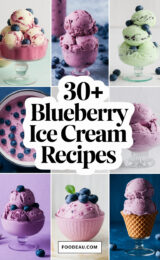 30-blueberry-ice-cream-recipes-ccccc-99613