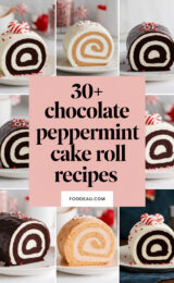 30-chocolate-peppermint-cake-roll-recipes-ccccc-49899