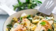50+ Best Fish Recipes