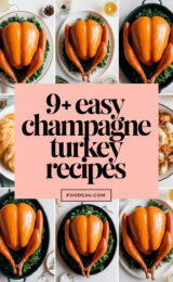 9-easy-champagne-turkey-recipes-ccccc-24120