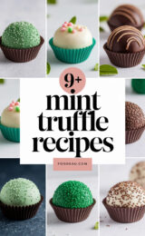 9-mint-truffle-recipes-ccccc-88738