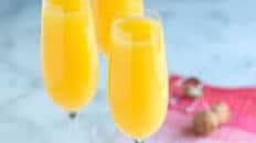 Best Classic Mimosa