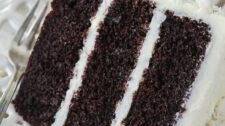 Chocolate Coconut Cake