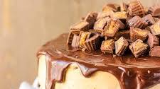 Chocolate Peanut Butter Ice Cream Cake