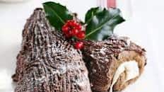 Chocolate yule log