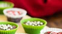 Dairy-Free Peppermint Fudge Bites