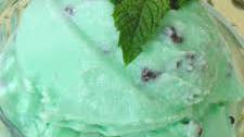 Easy Mint Chocolate Chip Ice Cream