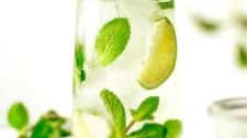 Fresh Mint Tea (Hot or Iced)