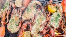 Grilled Lobster Recipe