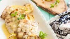 Grilled Mahi Mahi Recipe in a Lemon Butter Sauce