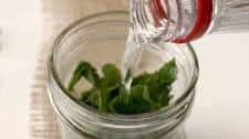 Homemade Mint Extract