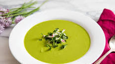 Hot or Cold Creamy Lettuce Soup