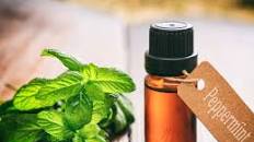 How To Make Peppermint Oil