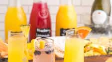 Mimosa Bar