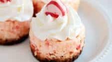 Mini Peppermint Cheesecake Recipe