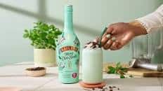 Mint Choc Shake