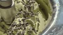 Mint Chocolate Chip Gelato