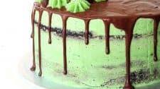 Mint Chocolate Layer Cake