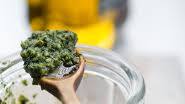 Mint Pesto