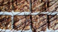 No-bake coconut and chocolate energy bars