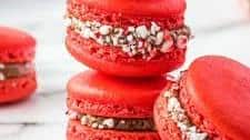 Peppermint Chocolate Macarons