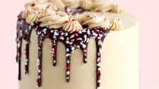 Peppermint Mocha Cake Recipe