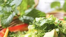 Rainbow Kale Salad with Mint Infused Dressing