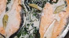 Salmon in Coconut cream