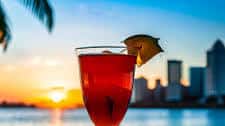 Sunrise Citrus Fizz