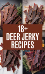 18+ Delicious Deer Jerky Recipes You Must Try for Your Next Outdoor Adventure! deer-jerky-ccccc-89220