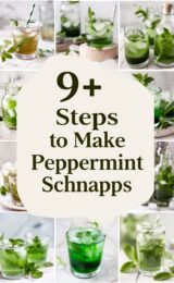 9+ Easy Steps to Make Homemade Peppermint Schnapps That Will Impress Your Friends! homemade-peppermint-schnapps-ccccc-70289
