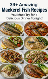 mackerel-fish-ccccc-15500