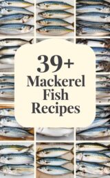mackerel-fish-ccccc-76780